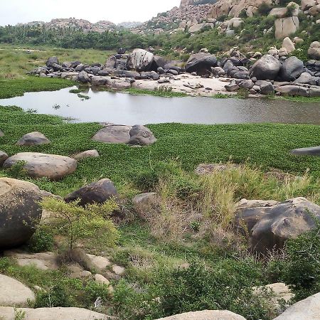 Riverside Homestay هامبي المظهر الخارجي الصورة