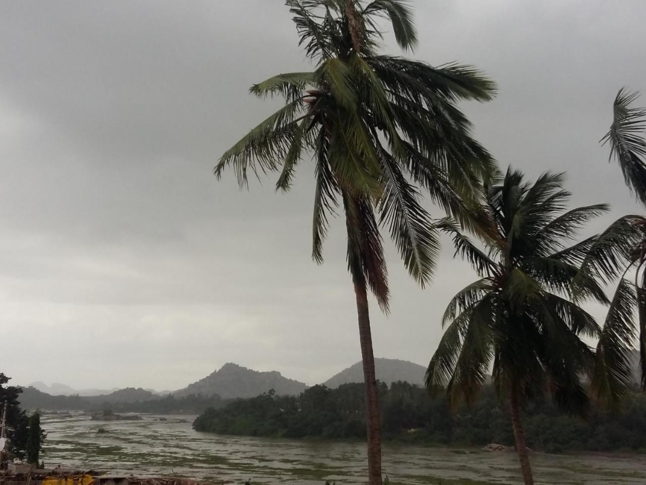 Riverside Homestay هامبي المظهر الخارجي الصورة